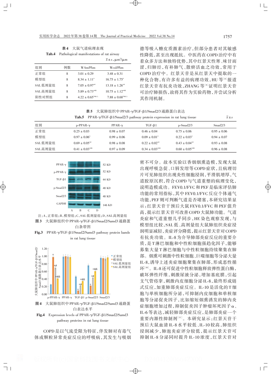 紅景天苷改善慢性阻塞性肺疾病炎癥模型及.PDF_4.jpeg